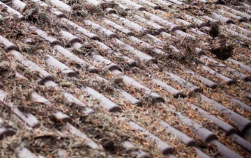 Peters Finger roof cleaning companies