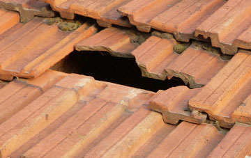 roof repair Peters Finger, Devon